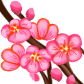 Cành đào