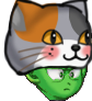 Nón mèo