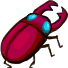 Bọ Kẹp Kìm
