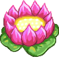 Đài sen hồng