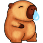 Pet Capybara xì mũi