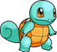 Pet Squirtle