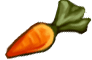 Củ cà rốt